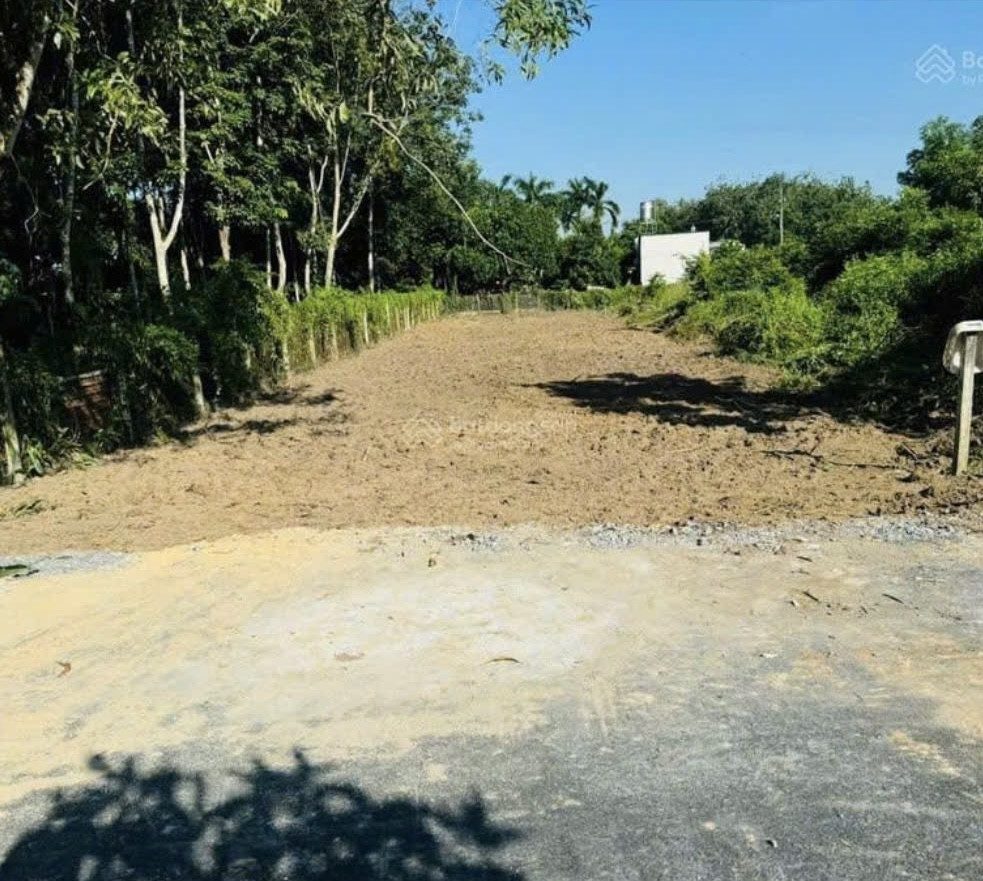 Bán lô đất tổng 2.126m2 Mặt tiền đường Bàu Lách - phạm văn cội, củ chi