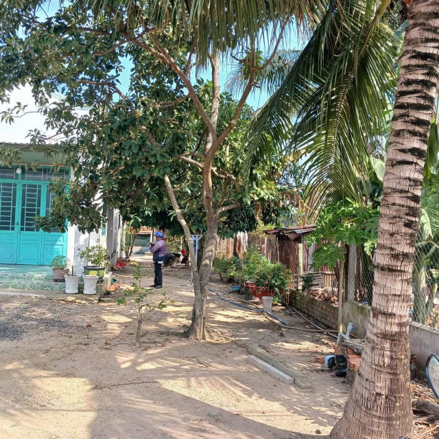 158m2 Bàu Mây An tịnh Trảng Bàng shr lh0949953215