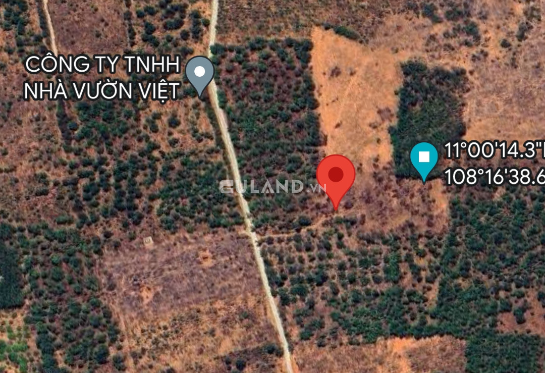 Bán đất 9245m² 4 tỷ tại Xã Thiện Nghiệp Thành phố Phan Thiết