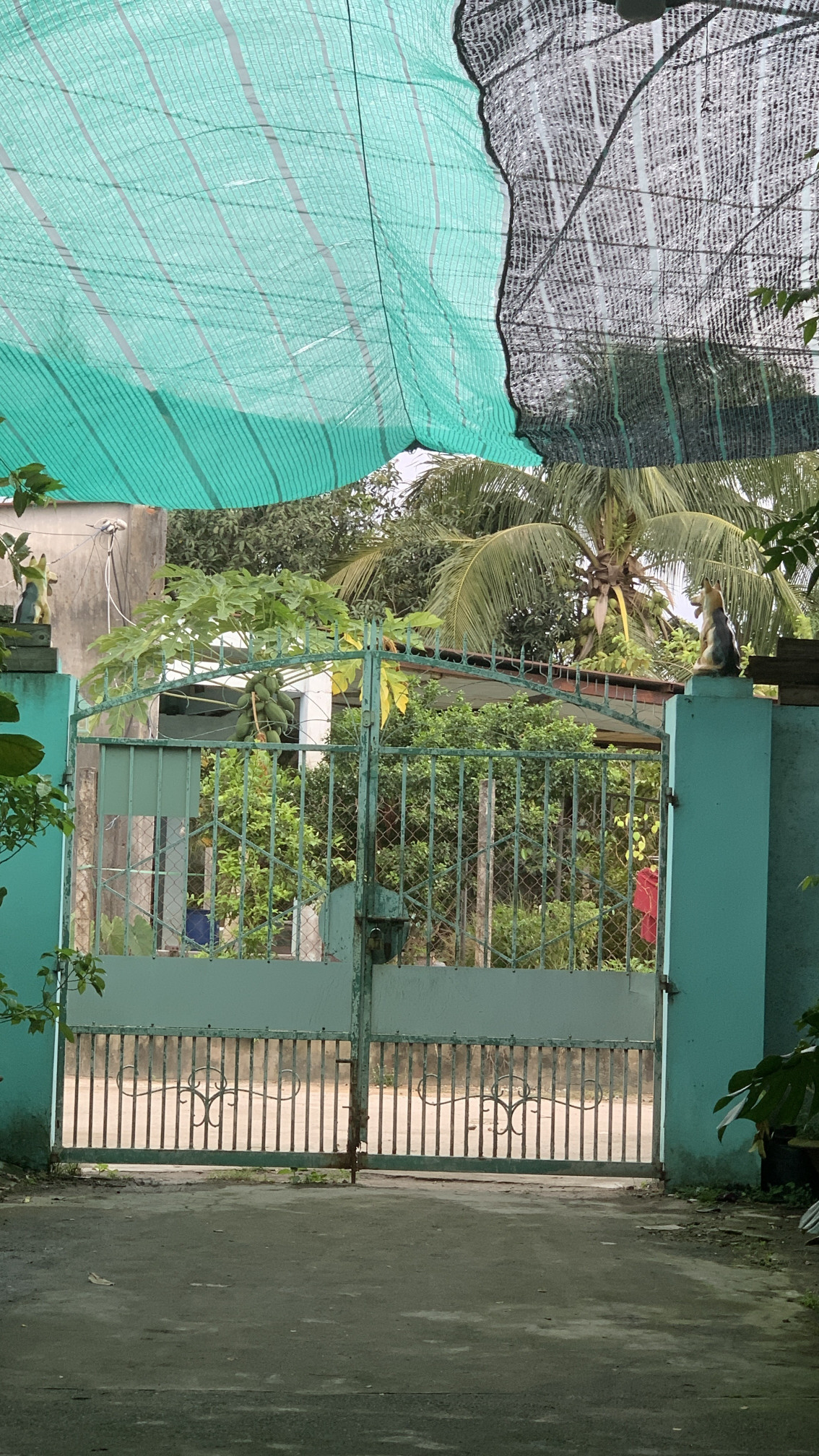 cần tiền bán gấp,Có thương lượng