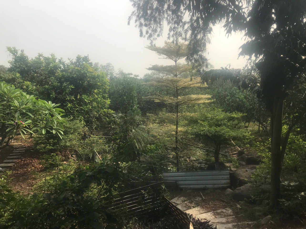 🏡 Cơ Hội Sở Hữu Đất Vườn 2400m² Tại Vĩnh Cửu – View Sông Thoáng Mát, Có Sẵn Cây Cảnh & Cây Ăn Trái