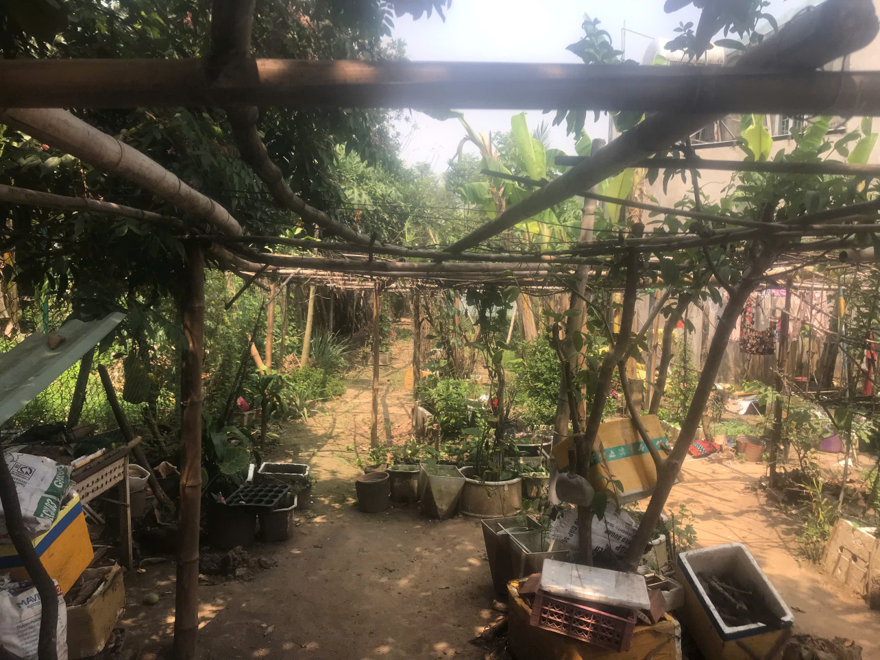 🏡 Bán Đất 120m² Nở Hậu – Đường Ô Tô, Hướng Đông – Giá Chỉ 950 Triệu tại Vĩnh Cửu