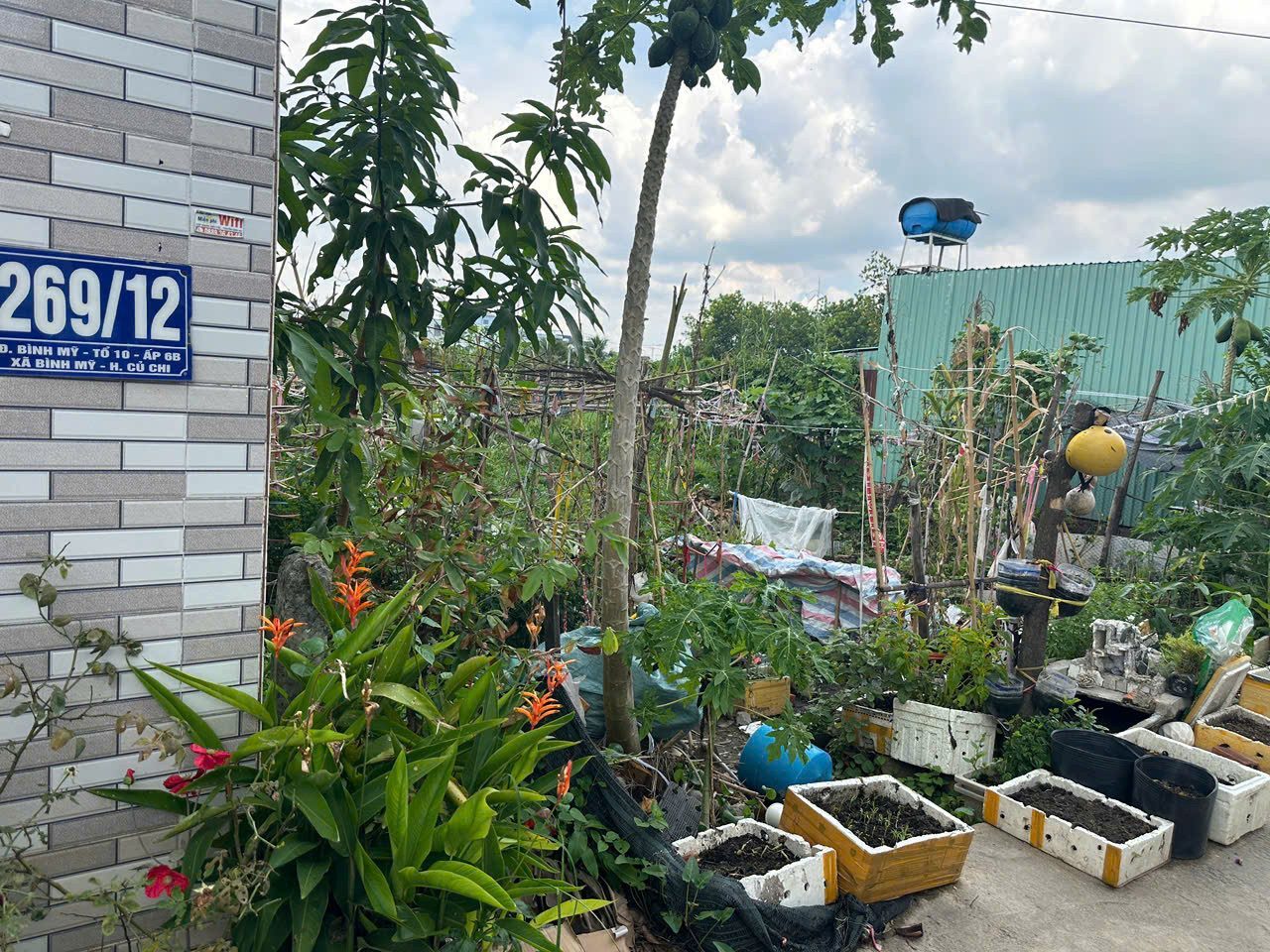 Đất đẹp xã Bình Mỹ, Củ Chi - 1 sẹc đường Bình Mỹ, full thổ cư 252m², vị trí tiềm năng giá tốt 3 tỷ