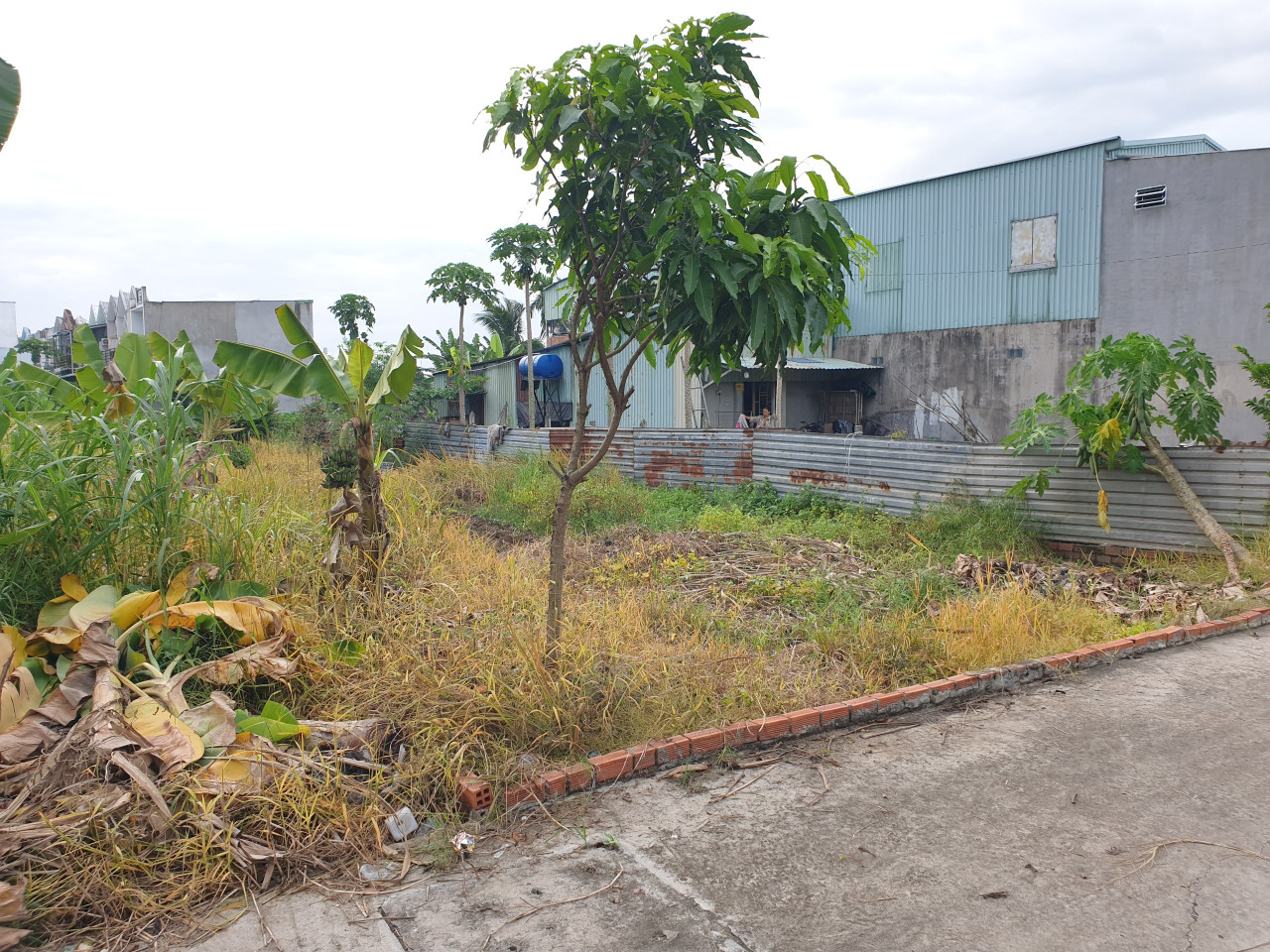 Bán đất thổ cư hẻm ôtô, cách đường Bình Mỹ, Củ Chi, 300m, 275m2 (8.5x31m), dân cư hiện hữu đông đúc