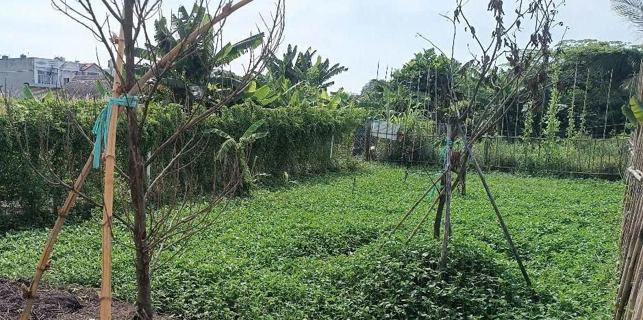 Khu Dân Cư Ấp 21, xã Bình Mỹ ô tô thông, 8,5x12,5m xây ở liền.