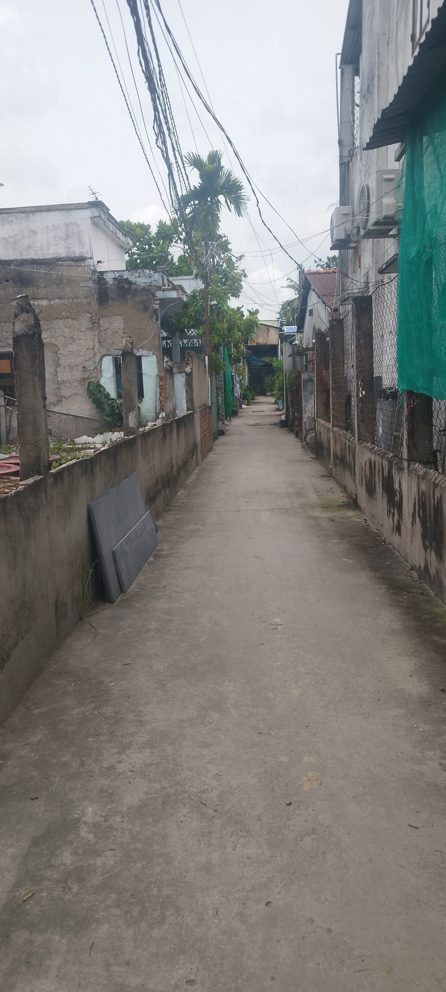 Cho thuê nhà nguyên căn