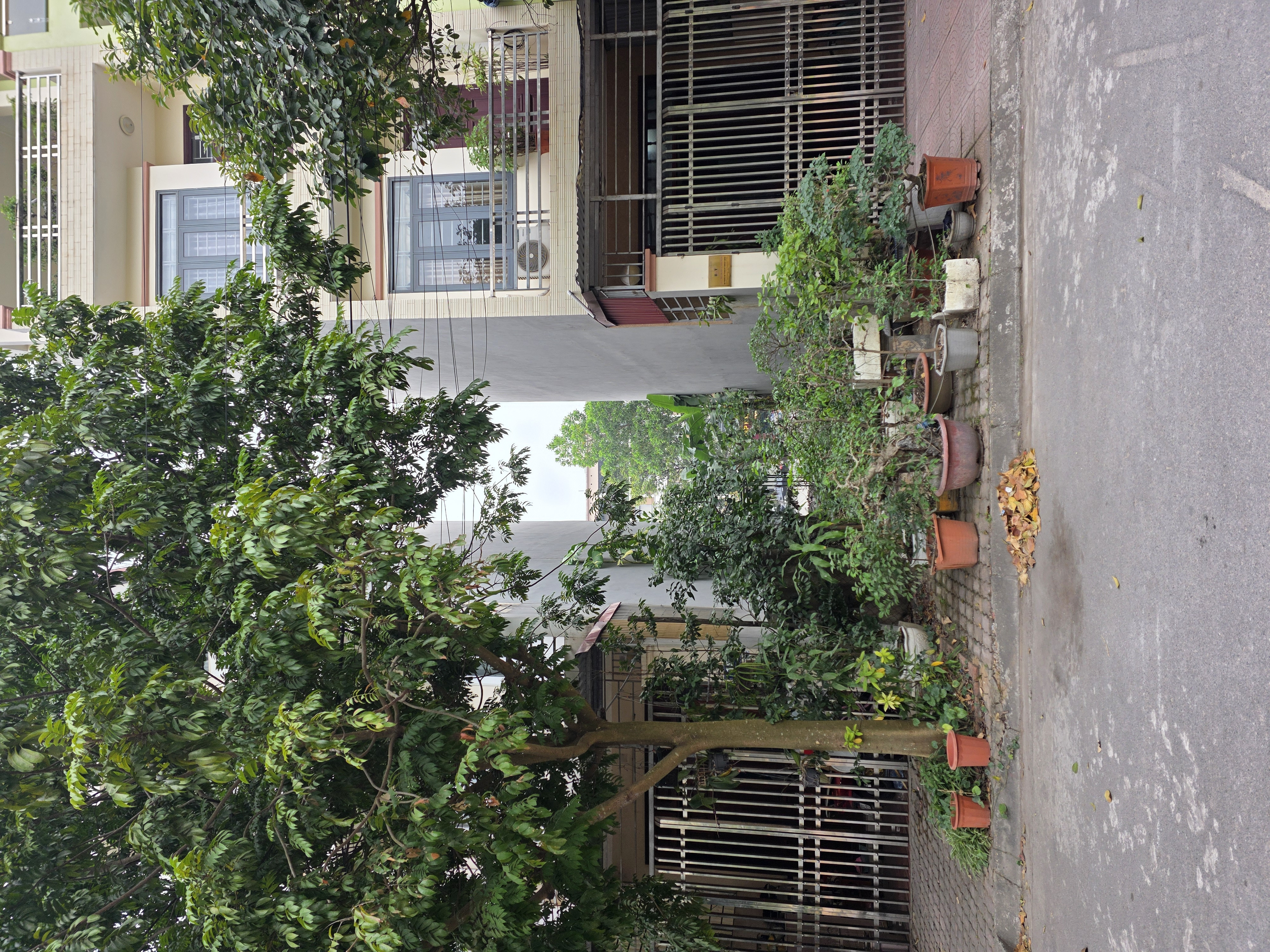 Bán lô đất nhìn vườn hoa khả lễ làn 2 đường bình than phường võ cường 72m2 mặt 4m đông nam giá 8,5 tỷ