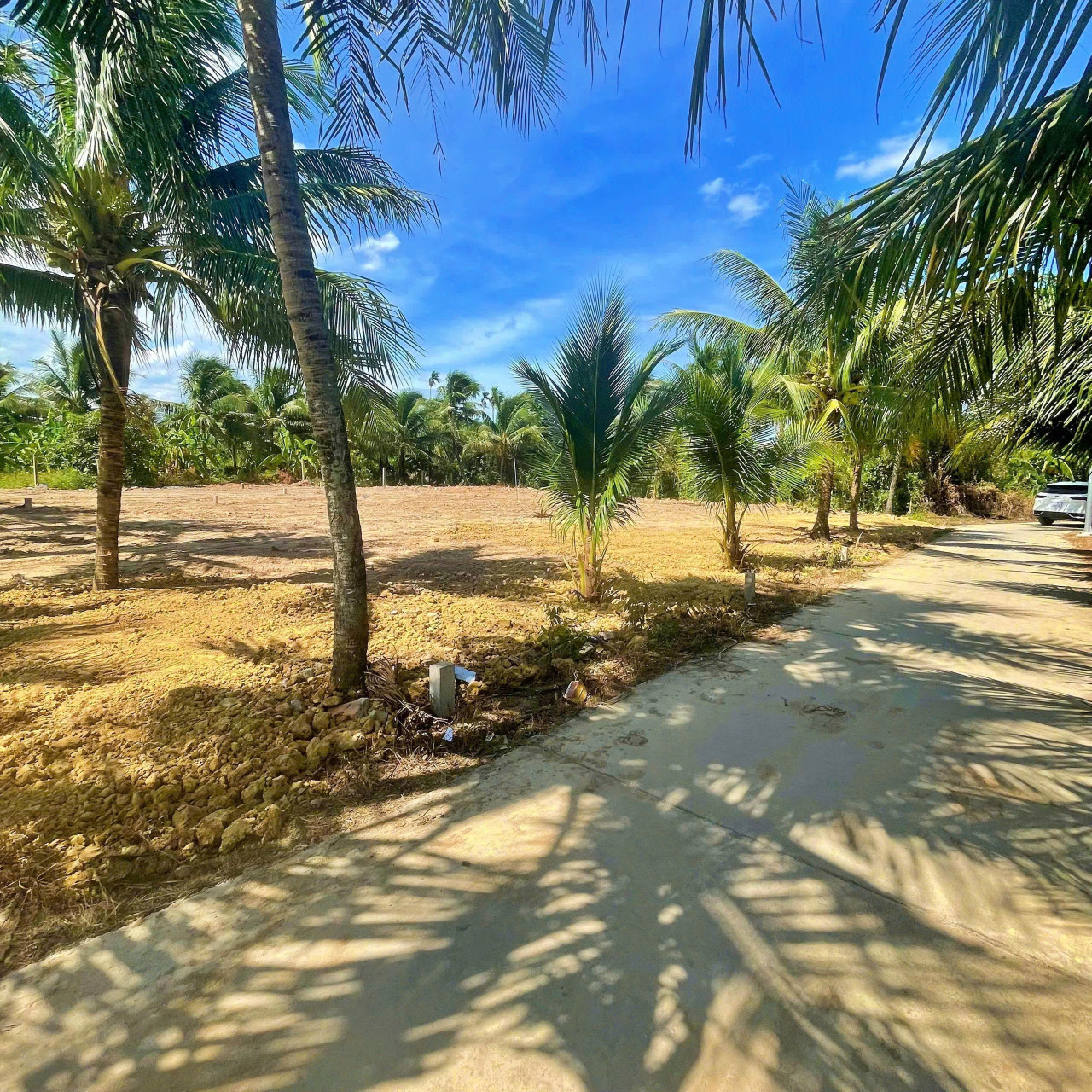 Bán đất full thổ cư Tân Định - Ninh Bình chỉ hơn 5000m2