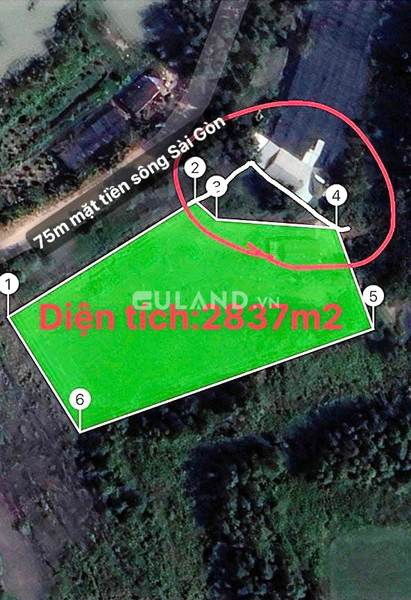 Bán đất mặt tiền sông Sài Gòn