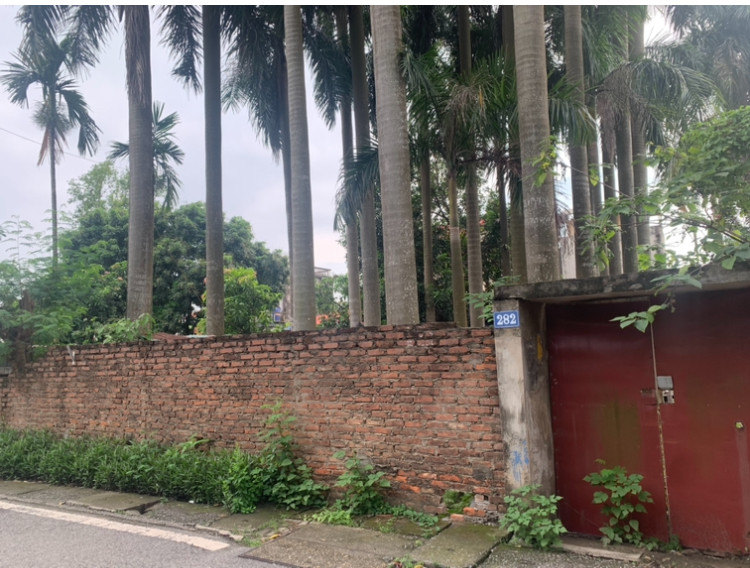 Cần bán