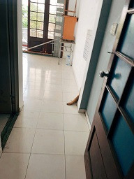 Phòng 40 m²cho thuê giá rẻ