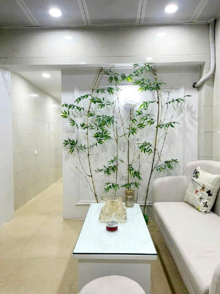 Bùi Ngọc Dương  - Hai Bà Trưng - Hà Nội