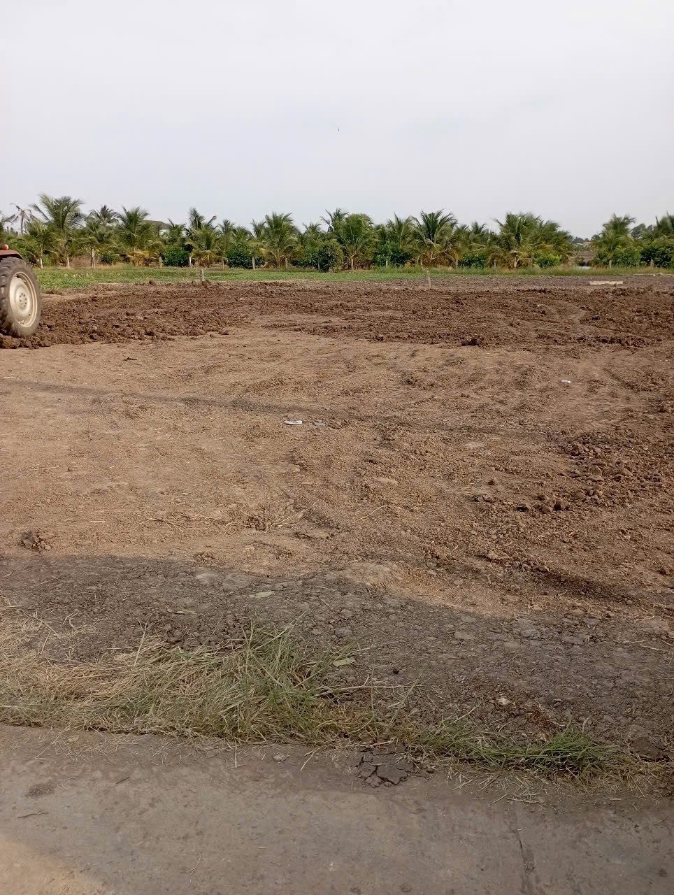 Bán đất mặt tiền diện tích lớn, tân trụ long an