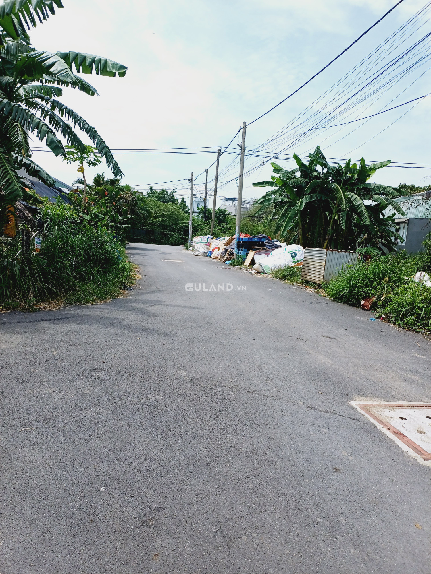 Bán lô đất Bưng Ông Thoàn Phú Hữu Q9