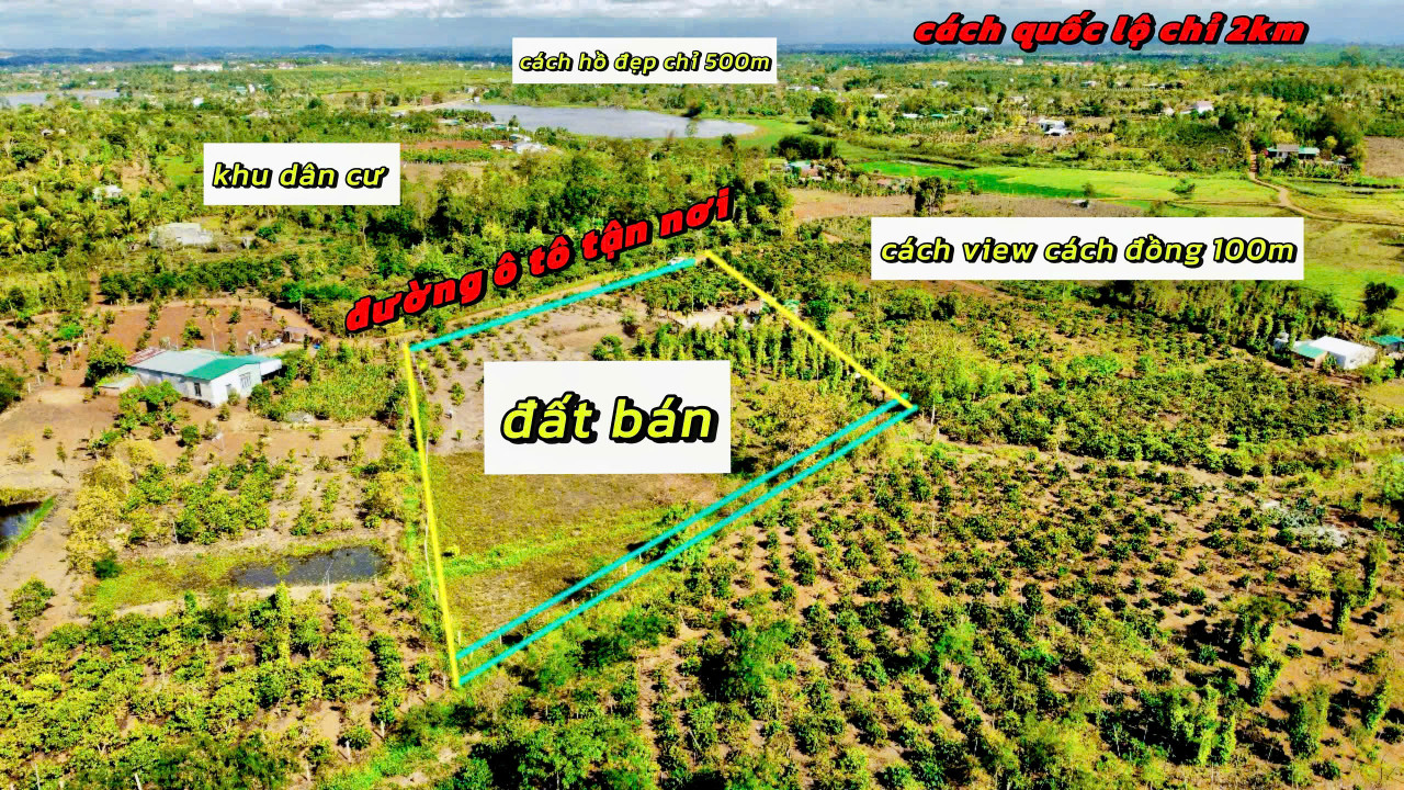 Ea Drông- Thị xã Buôn Hồ-Đắk Lắk dt 8000m2 sẵn 400m2 thổ cư sẵn nhà full vải tiêu, cà phê, cau.. cho thu đường oto rộng tới đất
