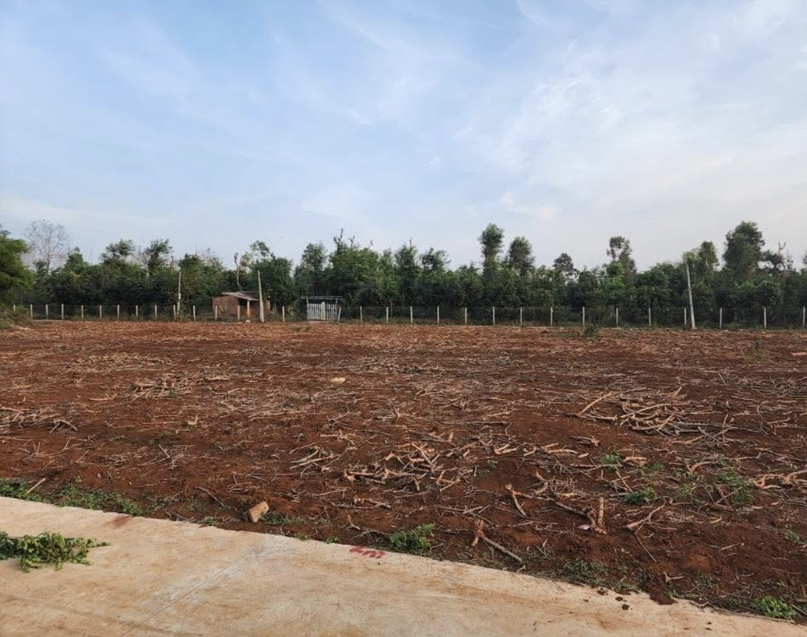 Đất Cư Suê Ven thành phố Buôn Ma Thuột