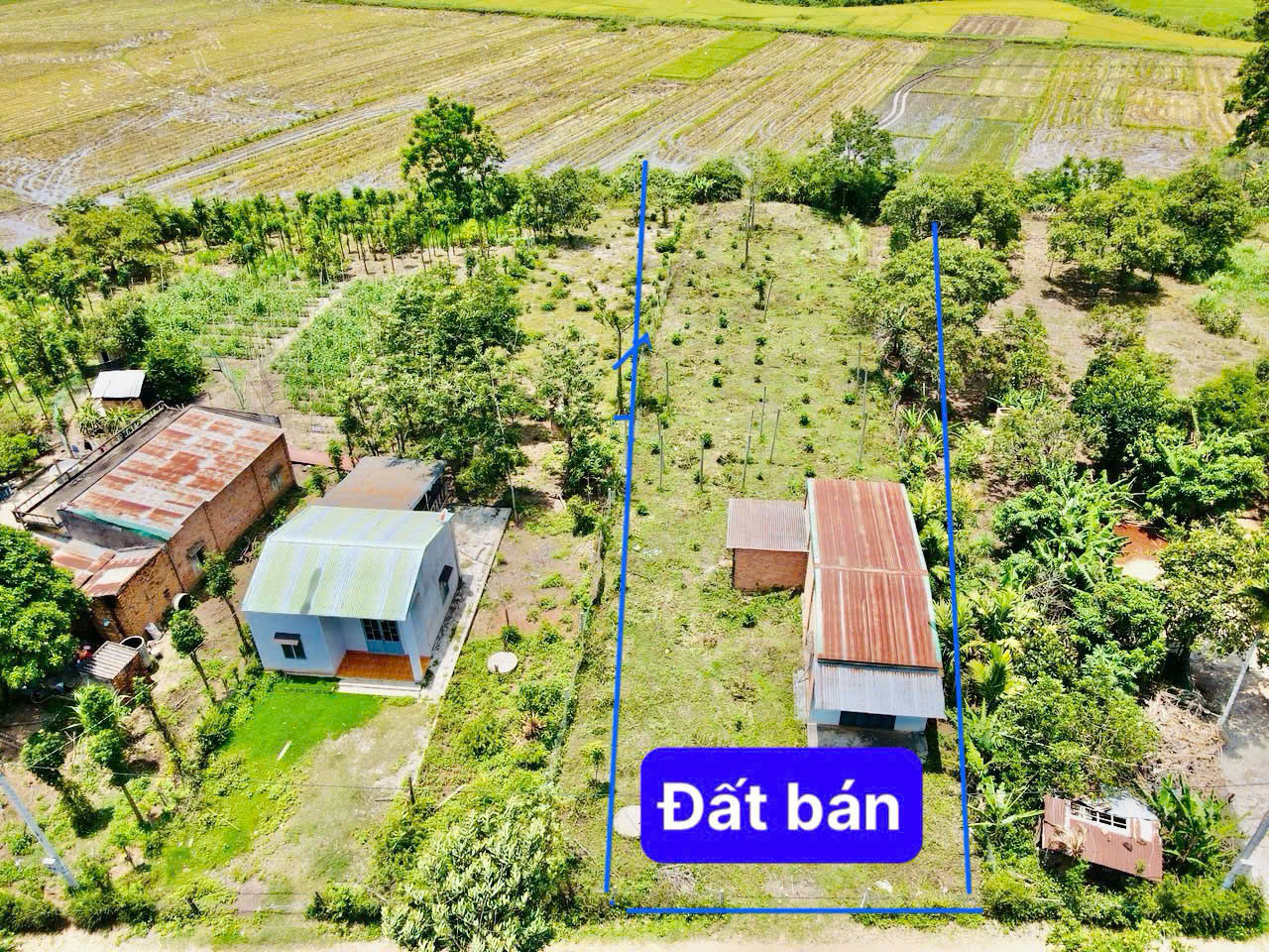Bán đất tặng nhà Cư Ê Wi- Cư Kuin - Đắk Lắk dt 1531m2 sẵn 150m2 thổ cư sẵn nhà cấp 4 chỉ việc vào ở đường oto tới đất chỉ 719tr