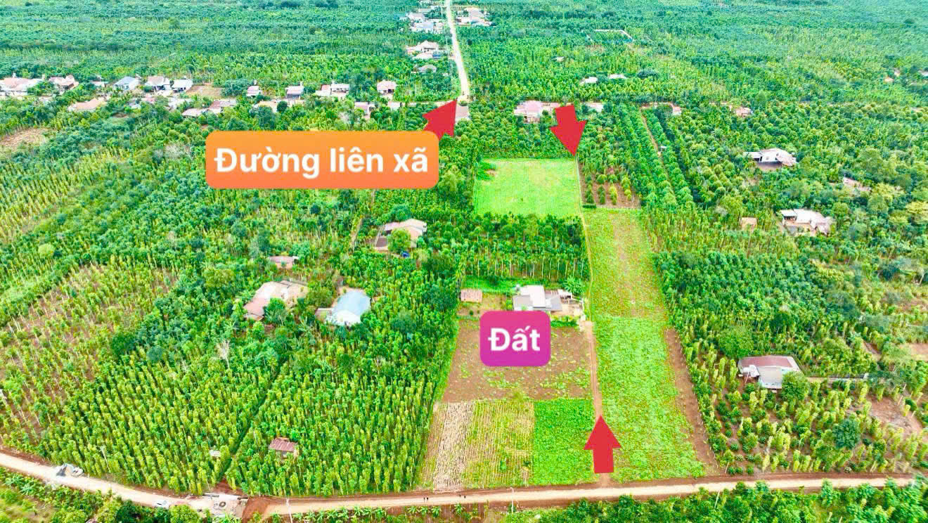 Ea BHốk- Cư Kuin- Đắk Lắk dt 11*50m sẵn 100m2 thổ cư đường ô tô tới đất tiện ích đầy đủ chỉ 369tr bao sổ
