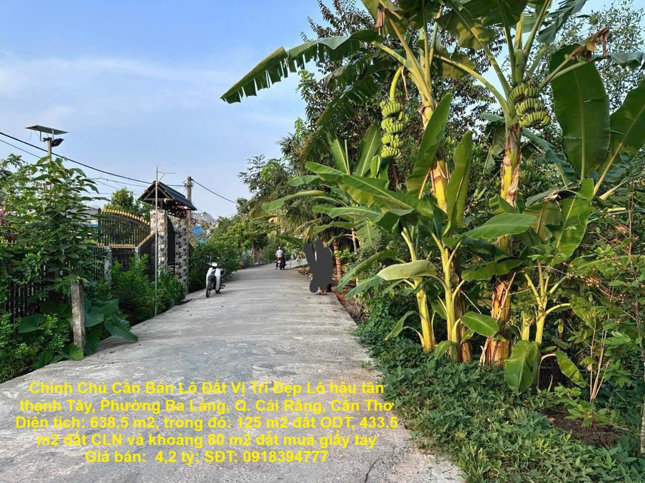 Chính Chủ Cần Bán Lô Đất Vị Trí Đẹp Lô hậu tân thạnh Tây, Phường Ba Láng, Q. Cái Răng, Cần Thơ