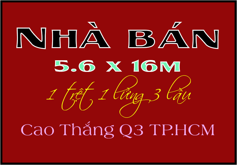 Nhà phố xinh 5.6 x 16m 1 trệt 4 lầu Cao Thắng Quận 3 TP.HCM