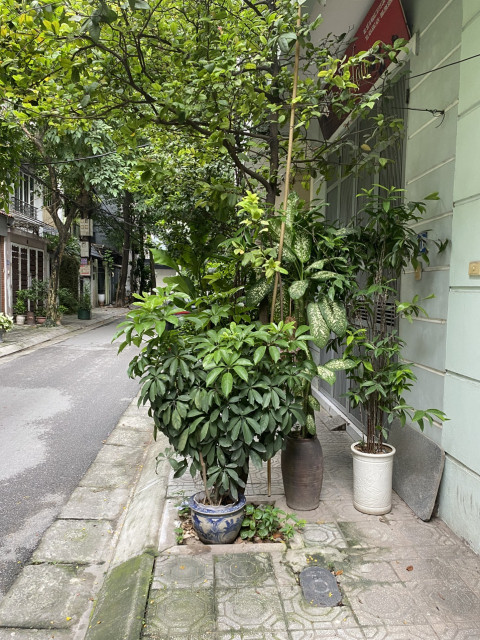 Cho thuê nhà Phân lô ô tô  61 Lạc Trung, 4 tầng x 40m2, KD onl, C.ty, trung tâm, ở, 15 triệu