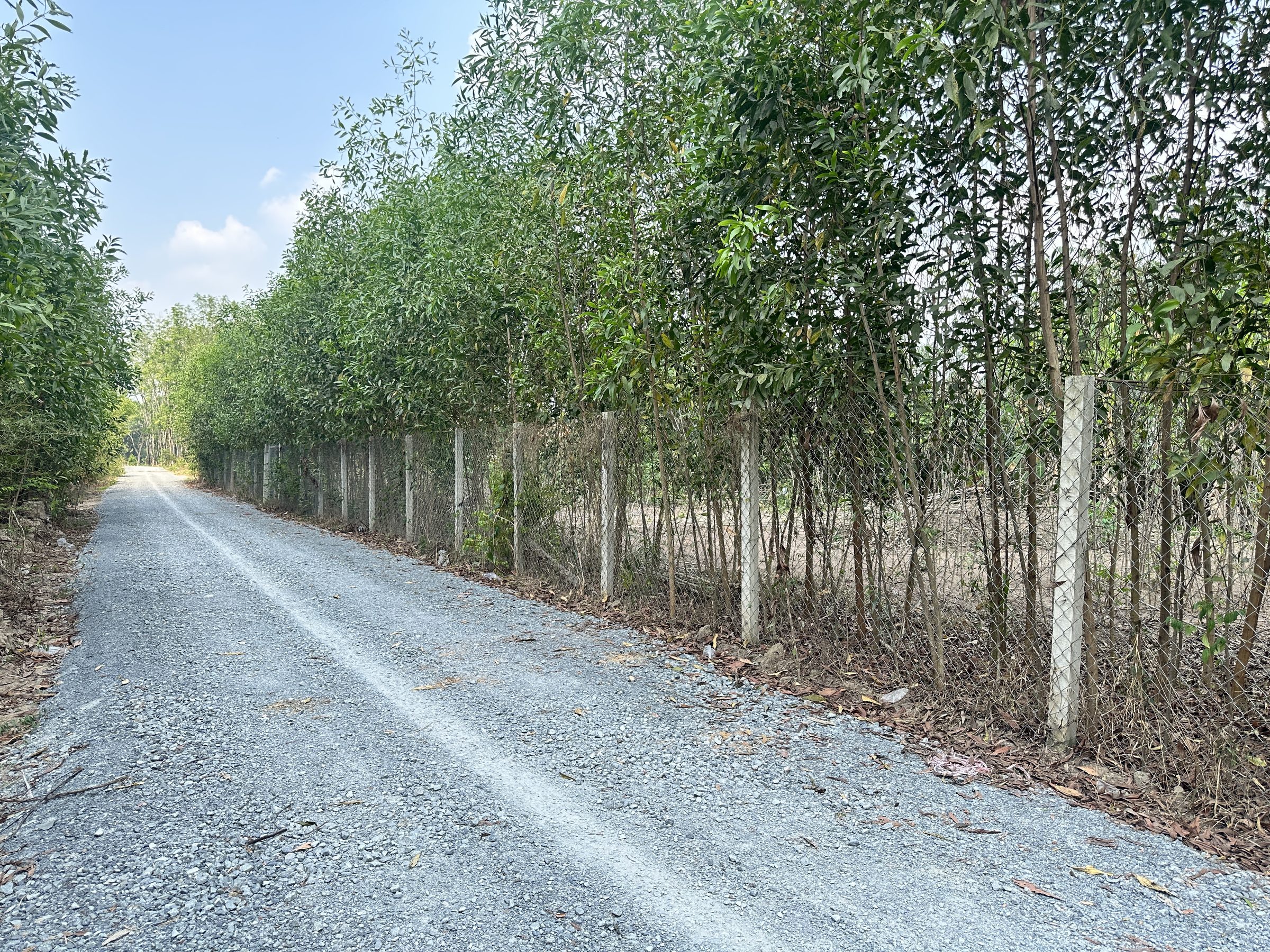 Đất Vườn 1035m2 có 100m2 thổ cư . Thích hợp xây nhà vườn đầu tư . Đường Cây Bài 200m . Giá :4ty5