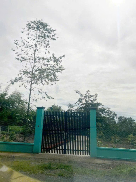 ⭐️ Đất Nở hậu Đường 8m thông 1851m2 – Cây Gõ CC