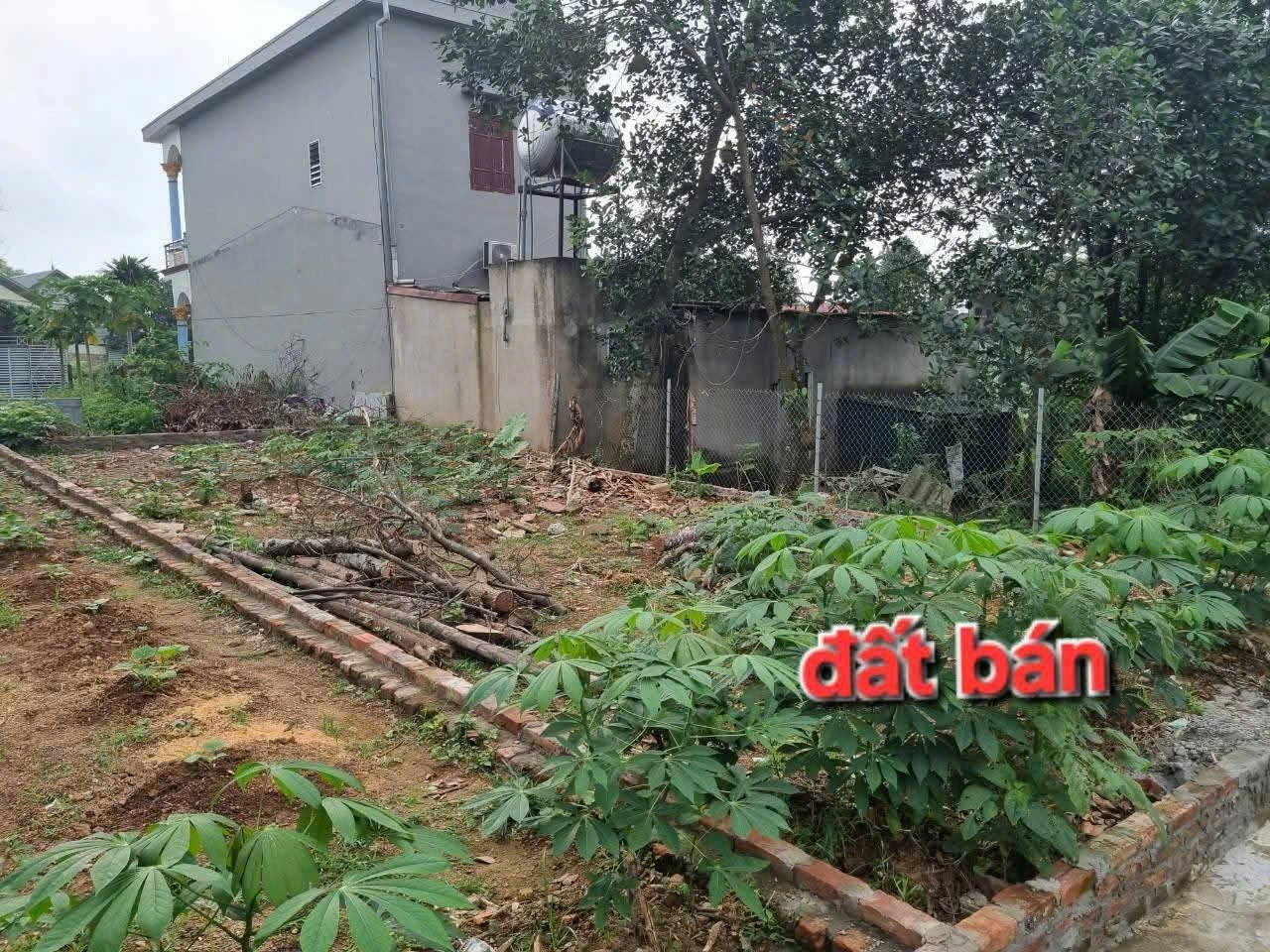 Bán đất 90m² ngang 5,8m giá 2.1 tỷ Xã Kim Anh