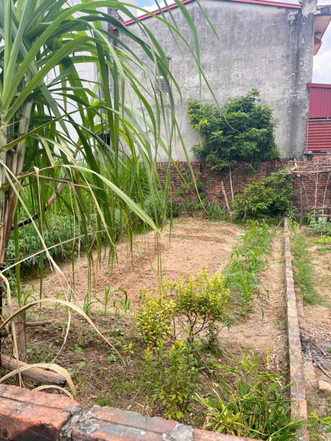 Bán đất 59m² ngang 4,6m giá 1.95 tỷ Xã Nội Bài