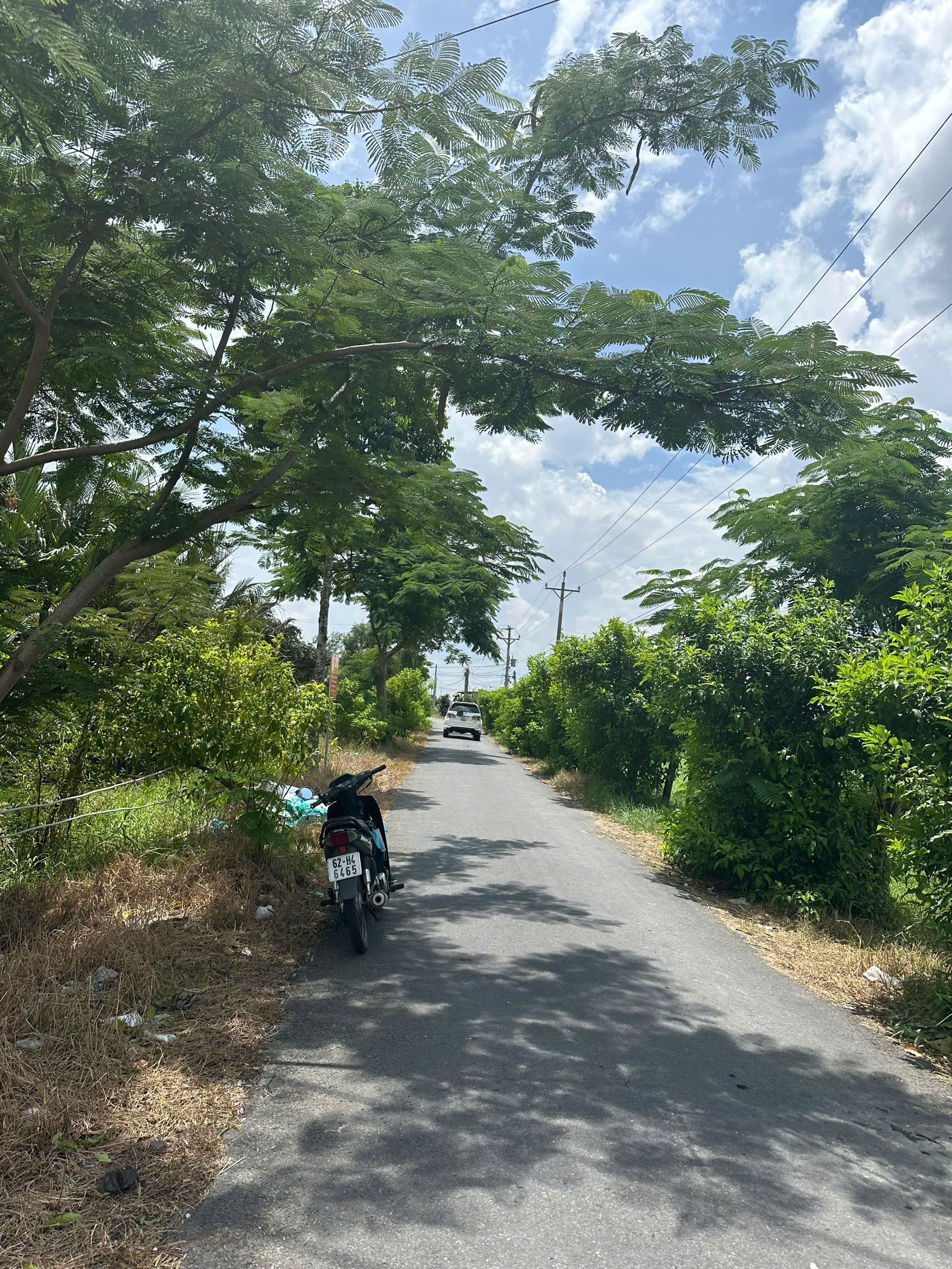 Bán đất nền full thổ cư Châu Thành Long An