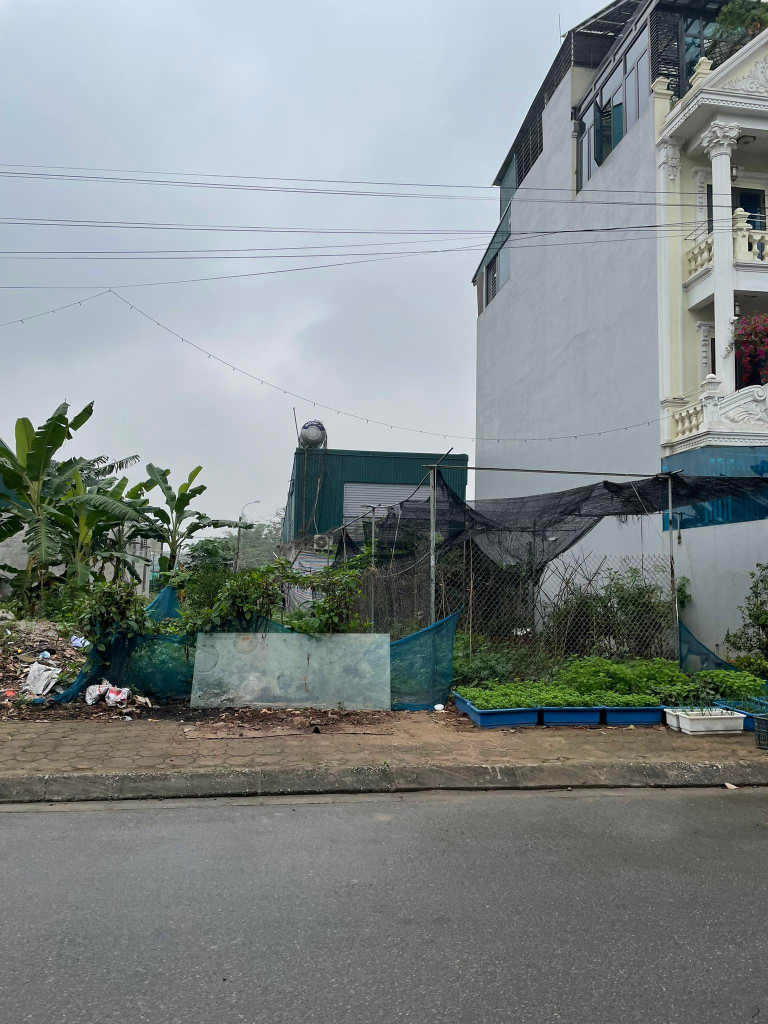 Bán đất biệt thự,liền kề khu đấu giá 31ha Trâu Quỳ, Gia Lâm, 140m2 đường 15,giá tốt