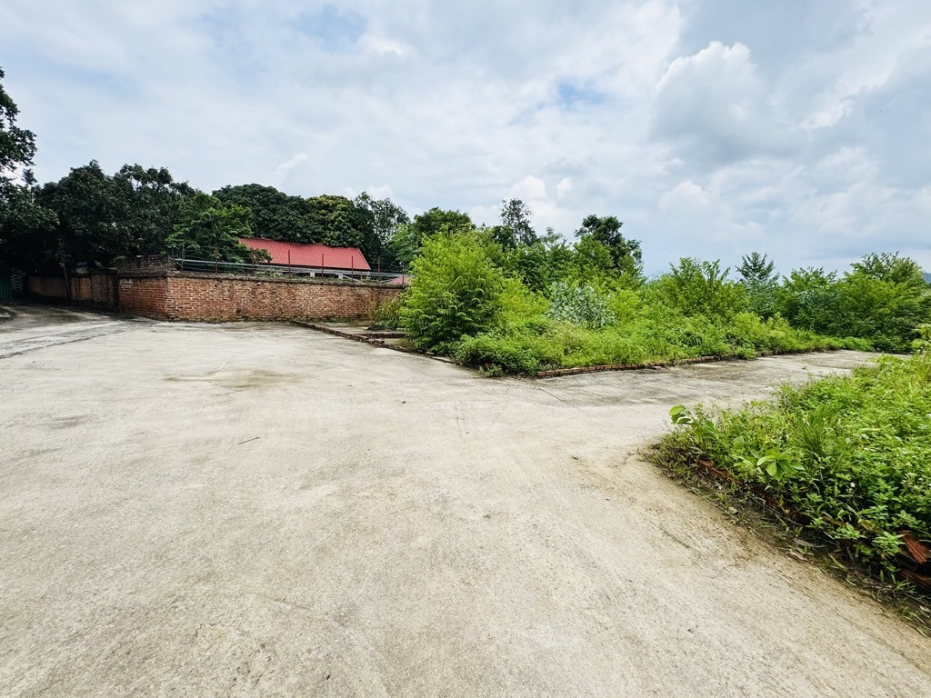 Bán đất 60m² ngang 4,1m giá 1.45 tỷ Xã Kim Anh
