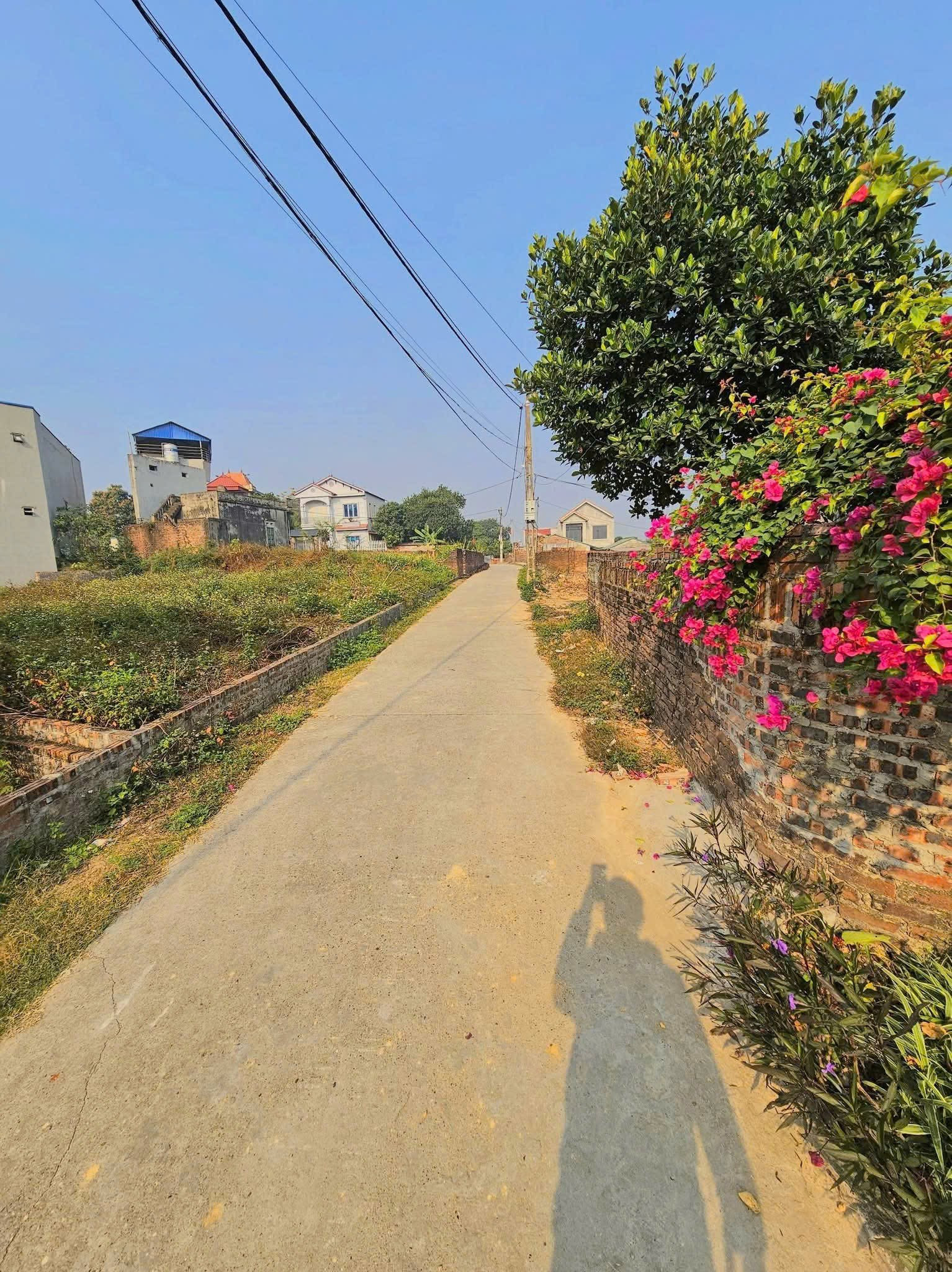 Bán đất 130m² full thổ cư ngang 5m giá 2.6 tỷ tại Đường Chu Văn An Xã Nội Bài