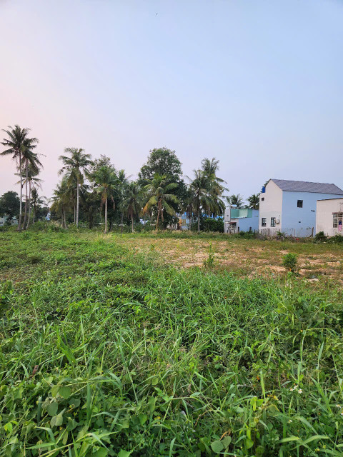 Bán 5500m đất mặt tiền Dương Đông, Phú Quốc