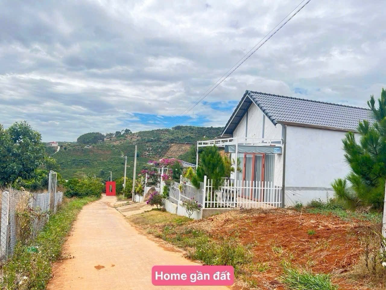 Quá Khó Khăn Đành Phải Bán Lỗ Đậm Sâu Miếng 2000m2 Chỉ 501tr