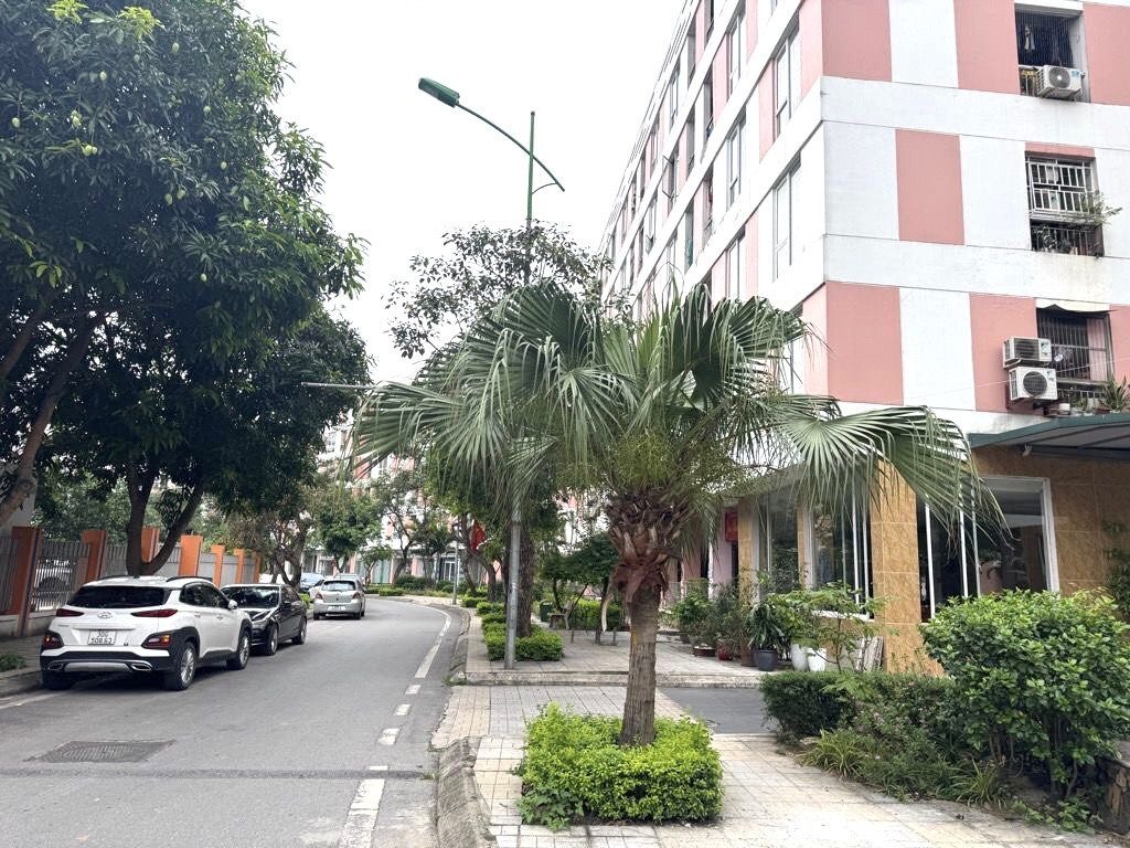 🏆  TC 3 TỶ SỞ HỮU NGAY CĂN CHUNG CƯ ĐẶNG XÁ -2NGỦ -FULL NỘI THẤT