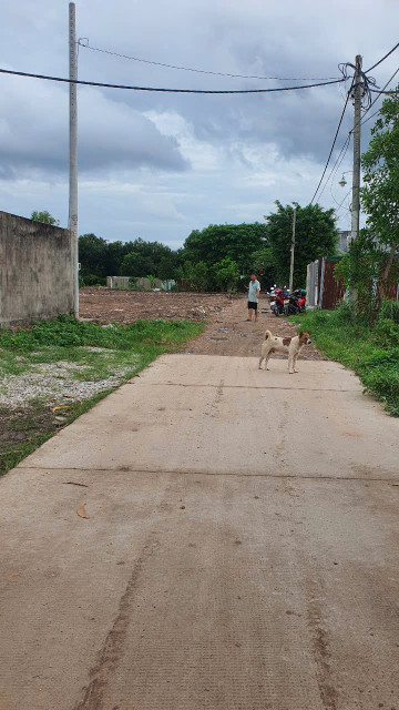 Cho thuê kho nhà xưởng Tân Vĩnh Lộc( Vĩnh Lộc B) 1200m2 Điện 3fa 15tr