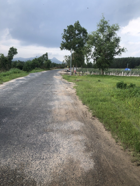 700K/m2 7.5 hecta mặt tiền Cù Chính Lan - Tân Bình - LaGi sổ hồng riêng