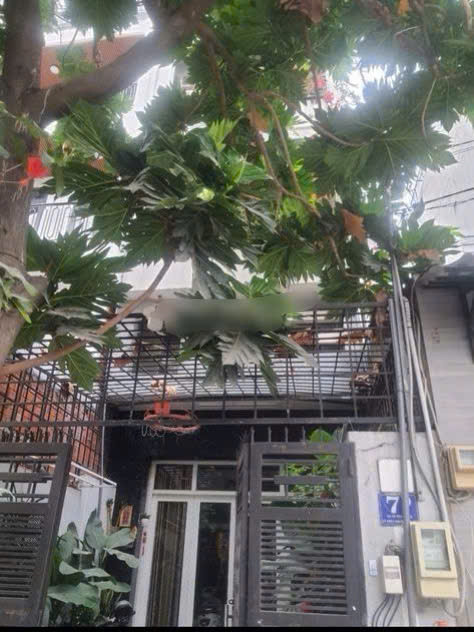 Vị trí : Số 7, Đường Cư xá Phú Lâm D, Phường 10, Quận 6, Tp Hồ Chí Minh