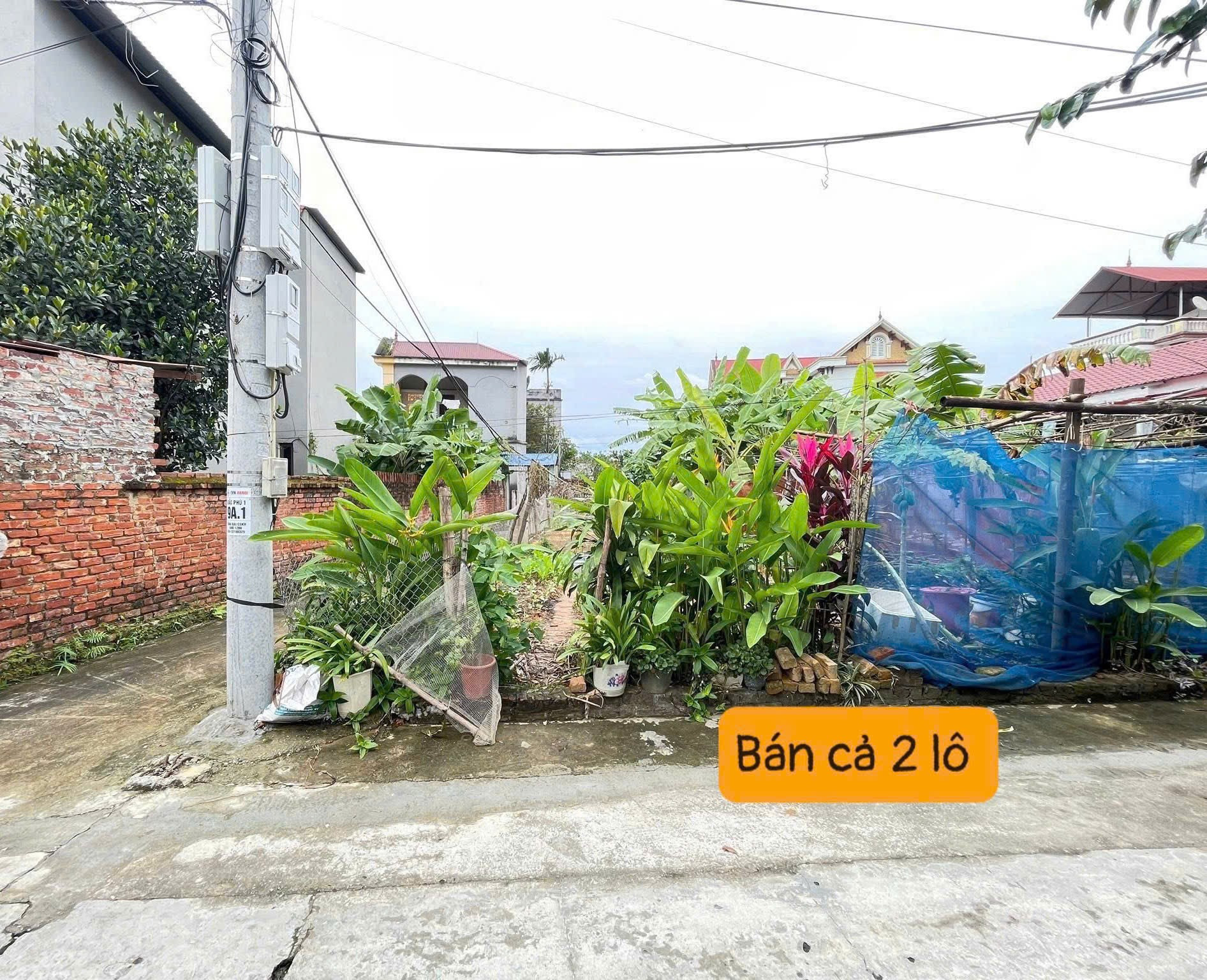 Bán đất 83,5m² ngang 4,5m giá 1.78 tỷ Xã Đa Phúc