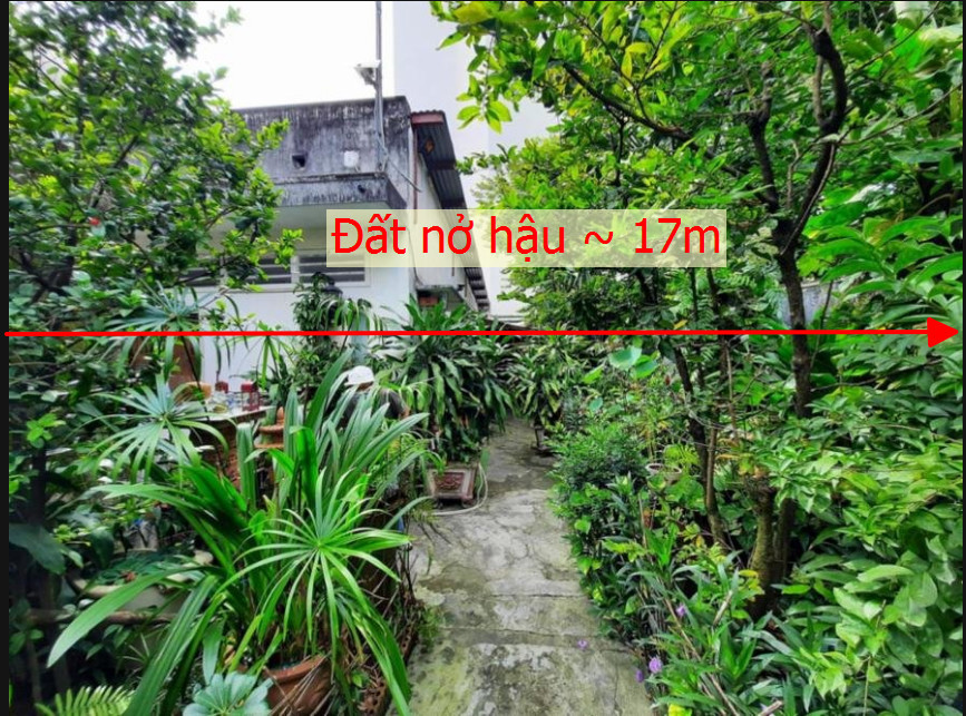 215m2/13 tỷ, 104/8 nguyễn thái sơn. p.03, ngay bv.175.