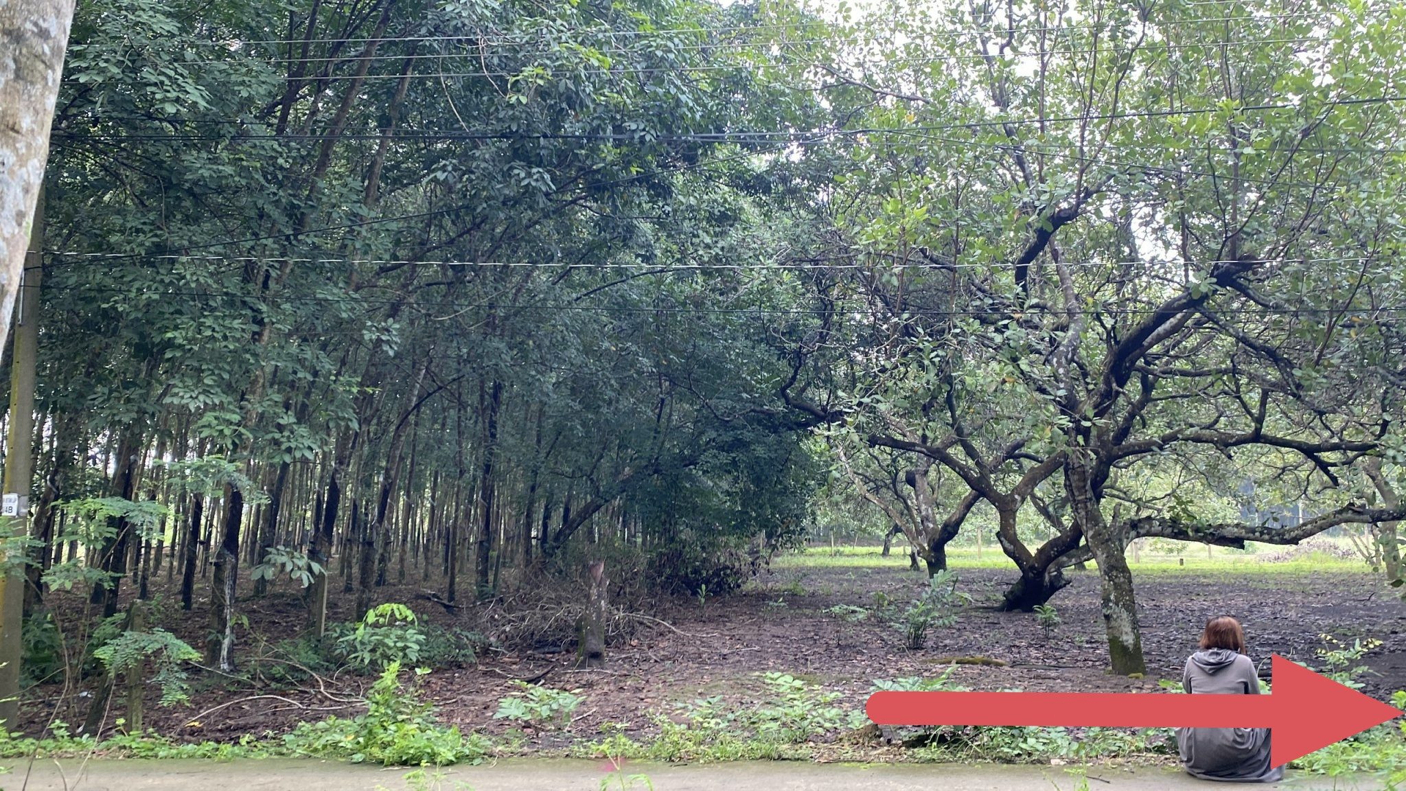 Bán đất 251.3m² có sẵn 100m² thổ cư ngang 5m giá 620 triệu tại Đường D10 Xã Đồng Phú