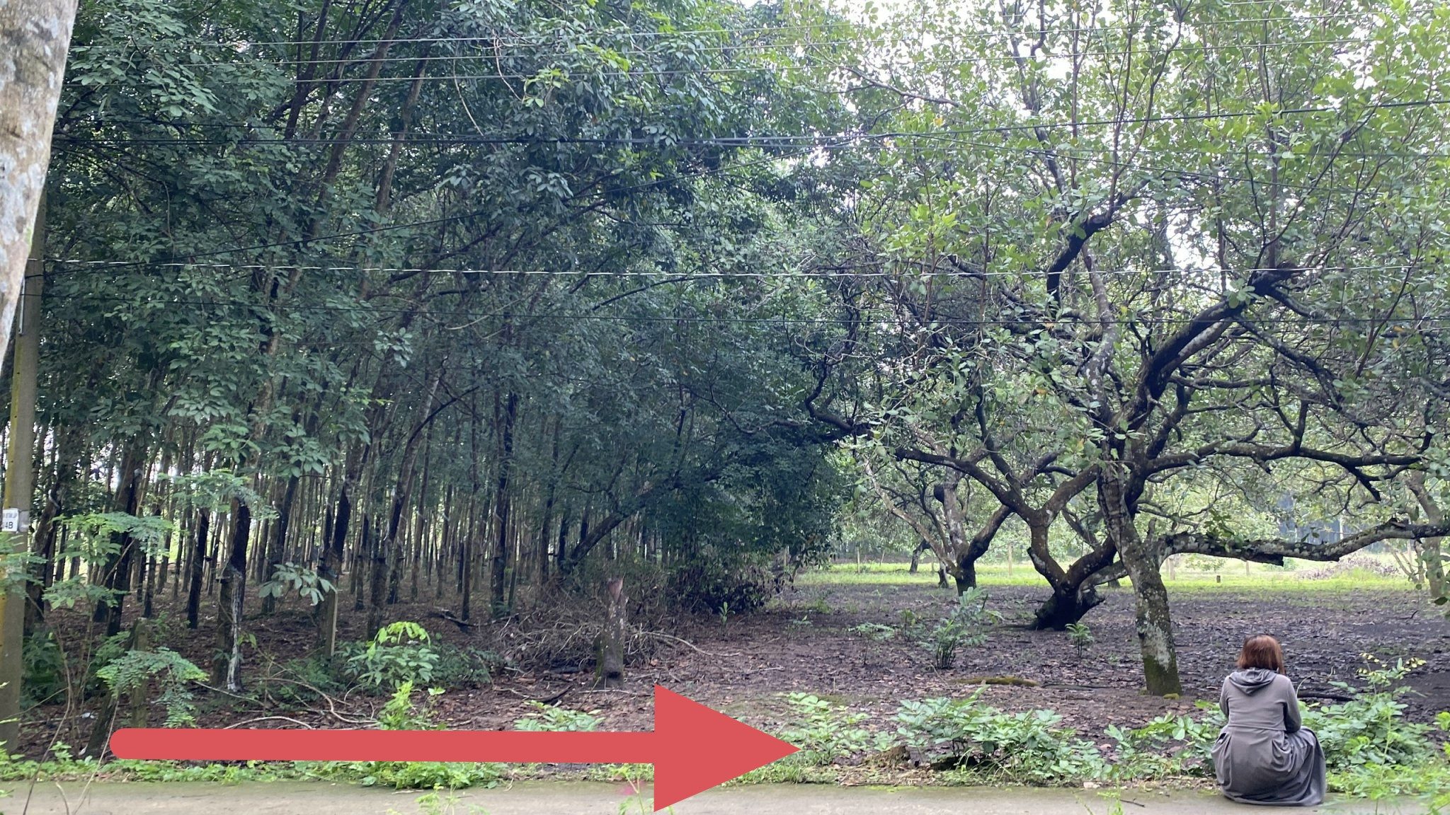 Bán đất 251.9m² có sẵn 100m² thổ cư ngang 5.01m giá 620 triệu tại Đường D10 Xã Đồng Phú