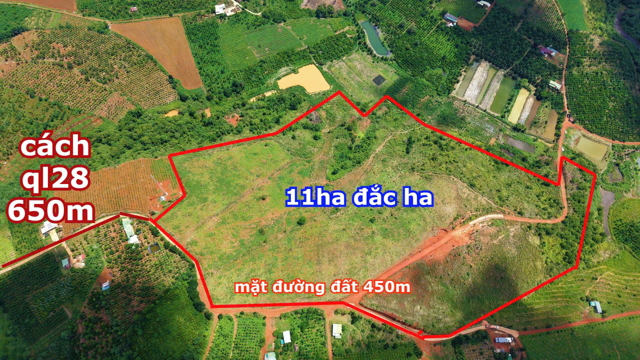 11ha đất đỏ bazan 450m mặt tiền đường đất nước tưới thoải mái