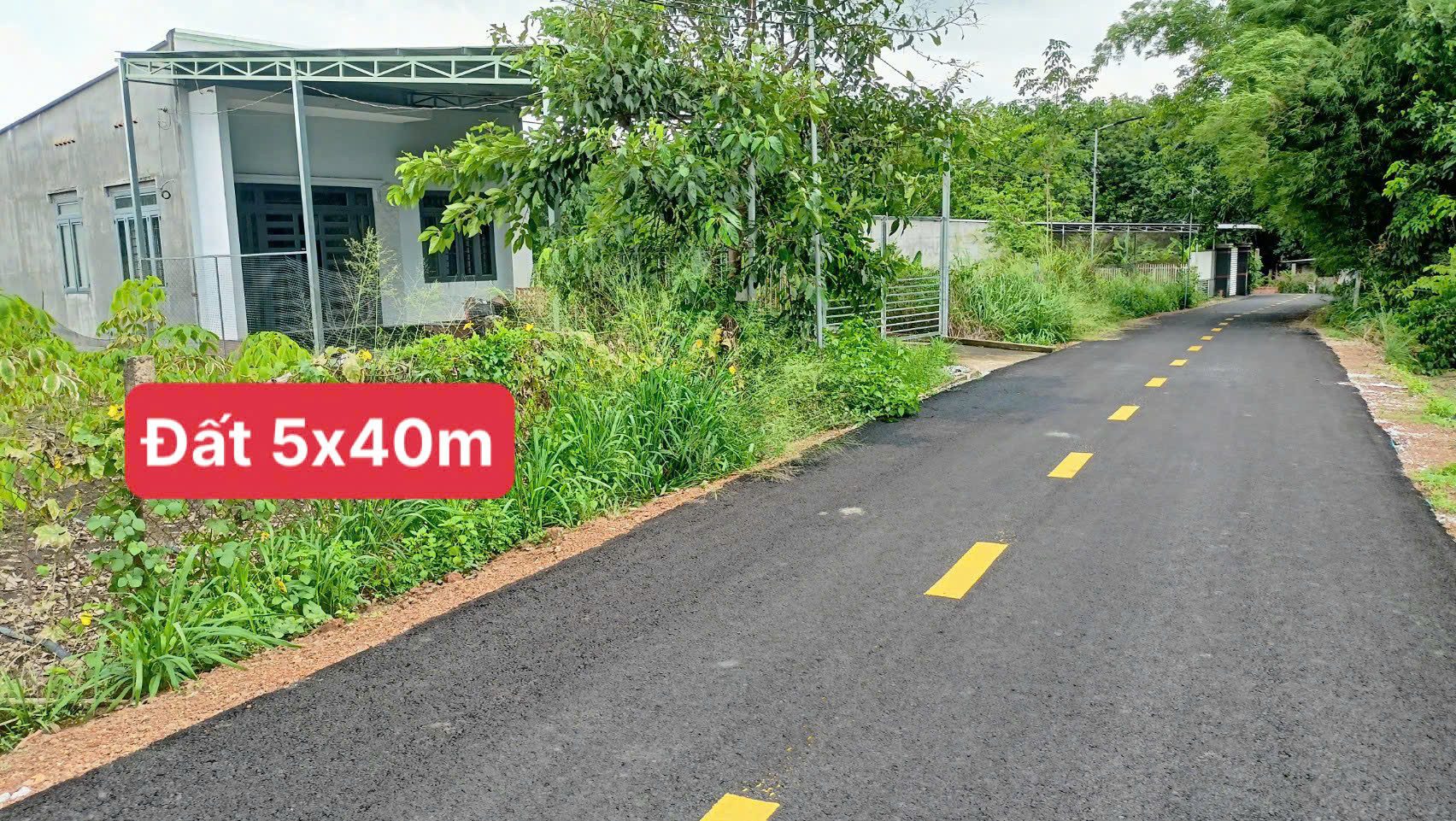 Chủ cần tiền kinh doanh nhượng lại lô đất 200m2, đường nhựa 6m, gần khu công nghiệp Bàu Bàng