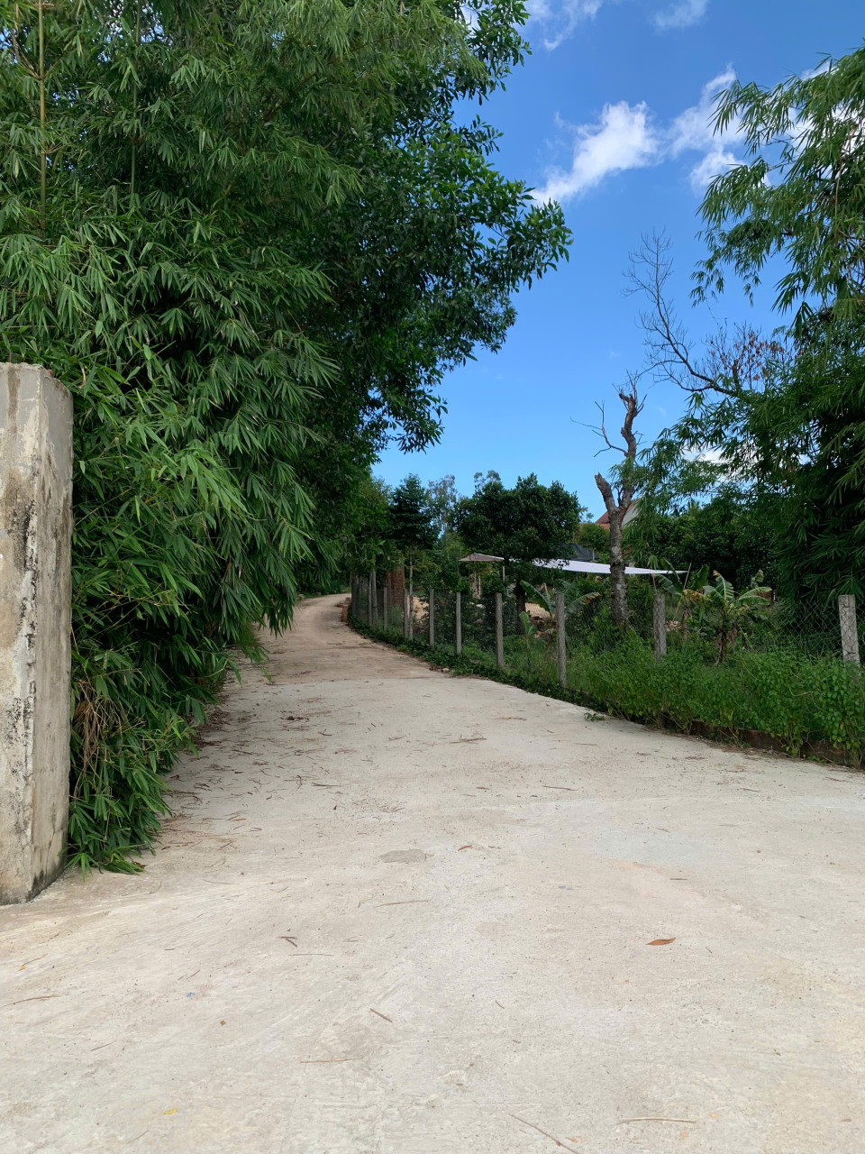 BÁN ĐẤT PHÂN LÔ FO GIÁ ĐẦU TƯ TẠI KHU DÂN CƯ DẠ LÊ, PHỪNG THỦY PHƯƠNG, TP HUẾ. BẤT ĐỘNG SẢN HUẾ