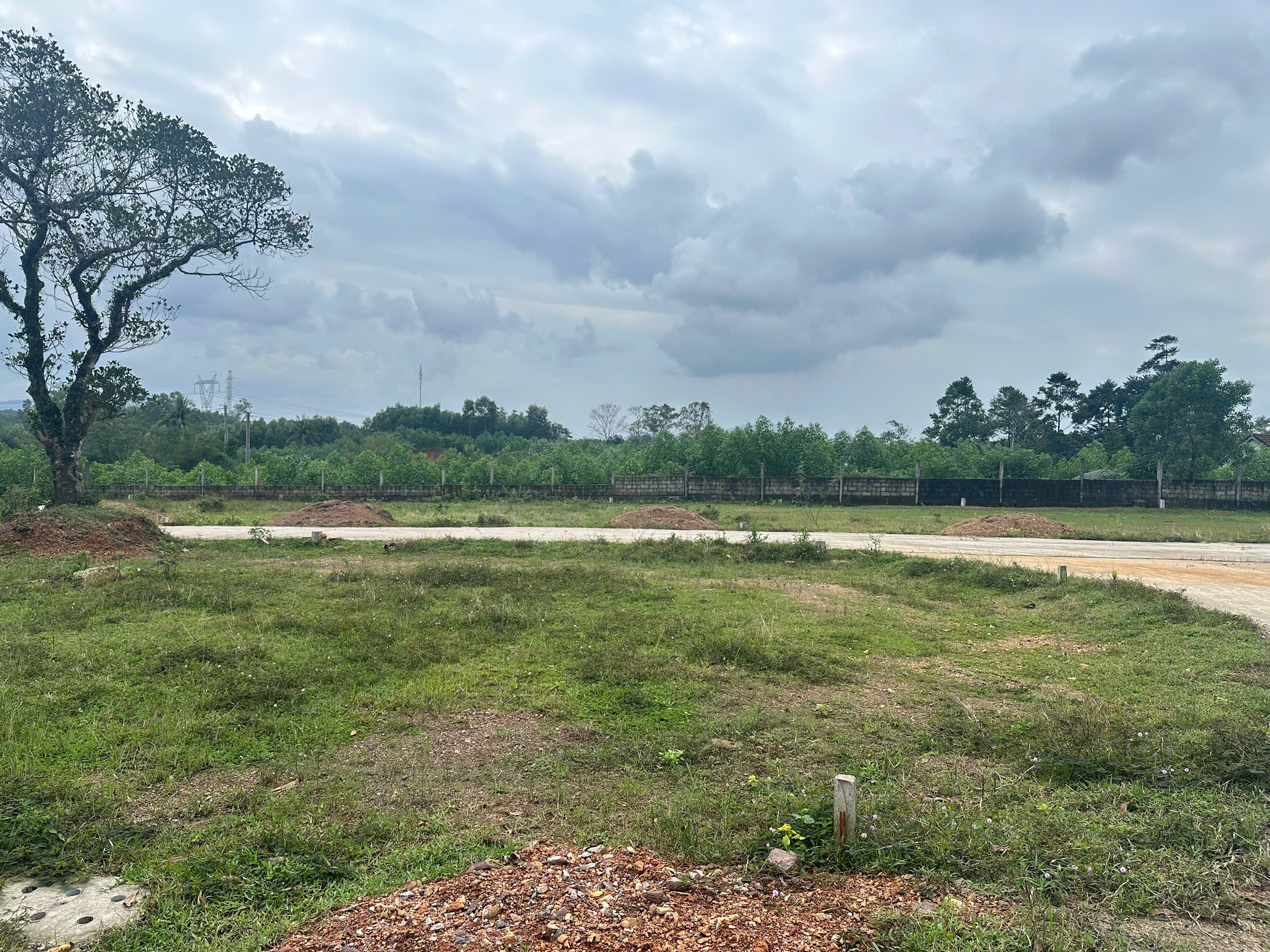 🌿 ĐẤT NỀN DẠ LÊ – HUẾ | SỔ RIÊNG – GIÁ TỪ 532 TRIỆU