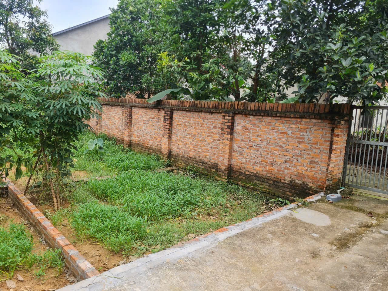 Bán đất 81m² ngang 4,5m tại Xã Tân Minh Huyện Sóc Sơn
