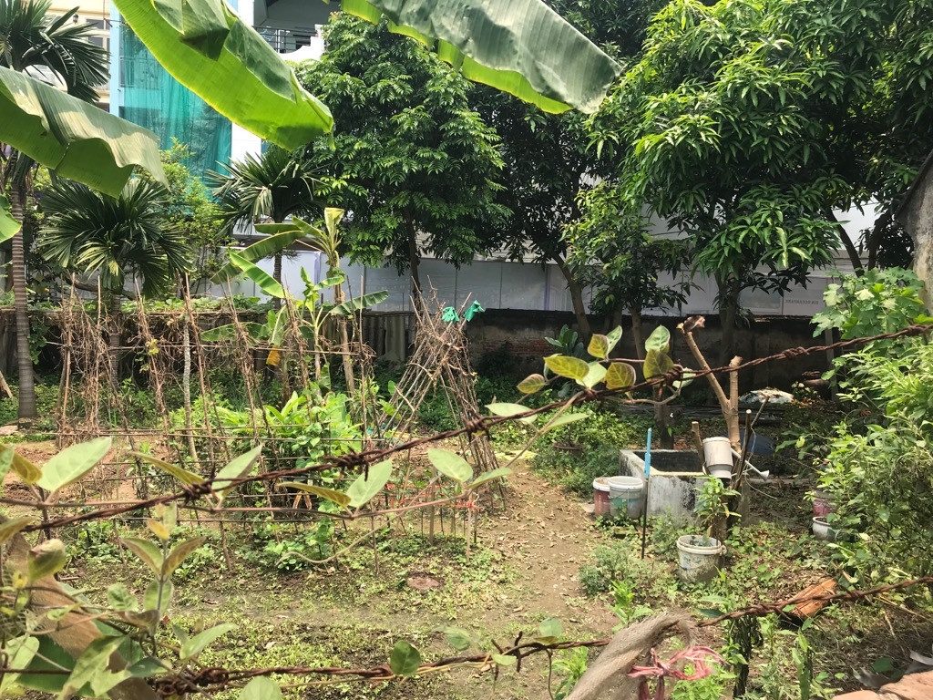 BÁN 640M2 ĐẤT FULL THỔ CƯ MẶT ĐƯỜNG OTO TRÁNH TẠI ĐA TỐN, CHỈ 30M RA ĐƯỜNG GIÁP HẢI