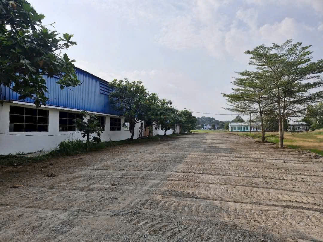 Cho thuê nhà xưởng 10.500m² tại Phú An Bến Cát Bình Dương – Xưởng mới, PCCC tự động, trạm điện 2000KVA